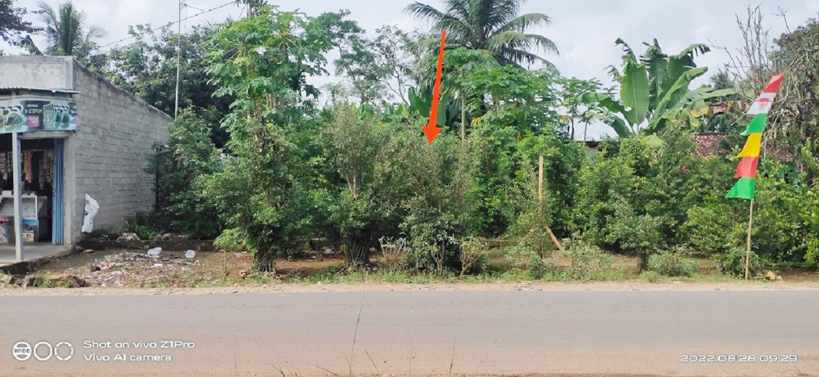 Tanah Dijual di Jati Agung Lampung Selatan Dekat SMAN 1 Jati Agung, Pasar Sidodadi Asri, RSUD Bandar Negara, ITERA